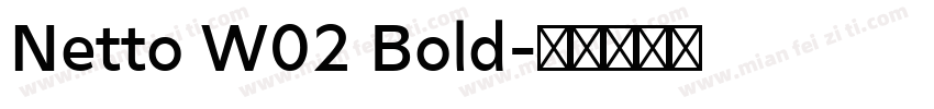 Netto W02 Bold字体转换